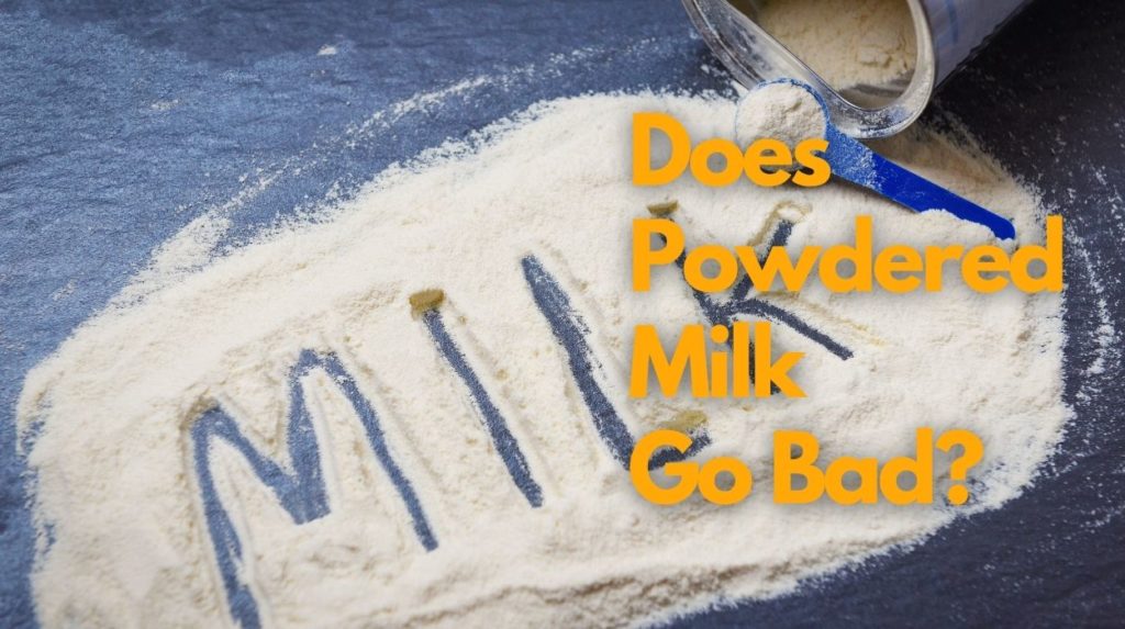 Does Powdered Milk Go Bad?