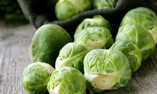 Brussels Sprouts 
