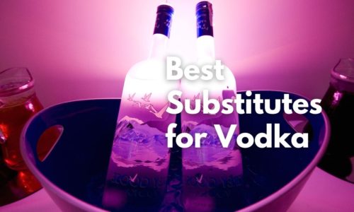 Best Substitutes for Vodka