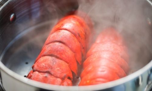 Steaming Lobster Before Freezing