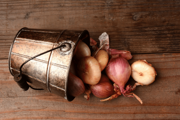 How to Store Shallots 