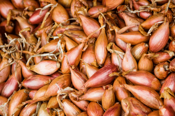How to Tell If Shallots Have Gone Bad 