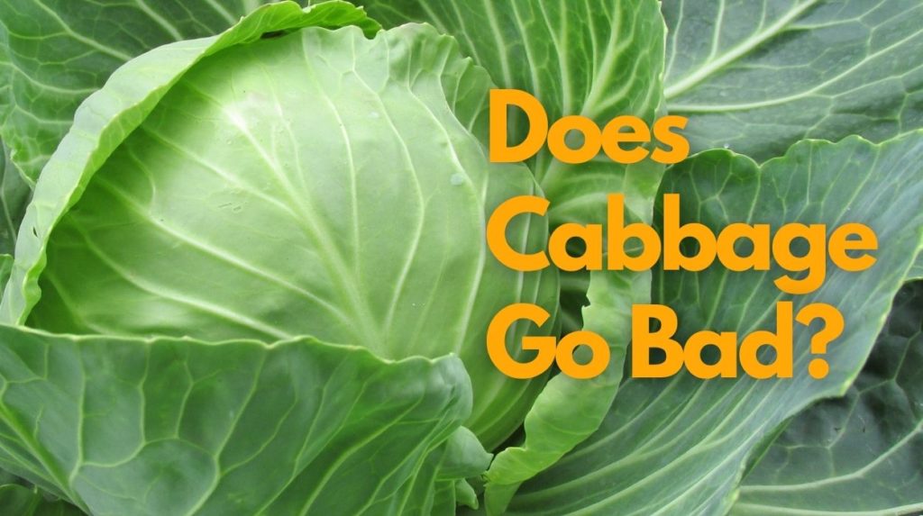 Does cabbage go bad