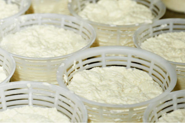 What are the Spoilage Signs of Ricotta Cheese