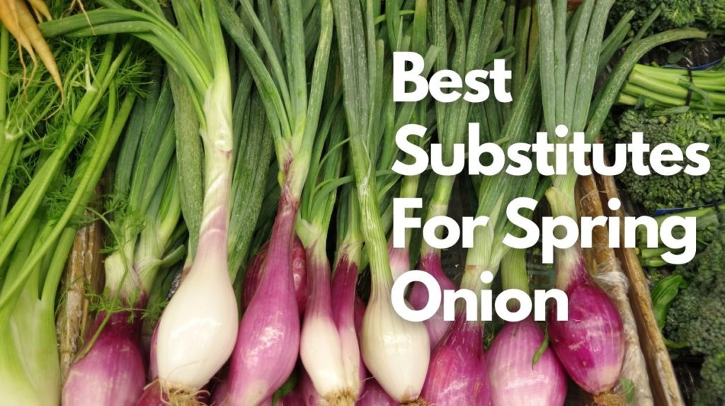 Best Substitutes For Spring Onion