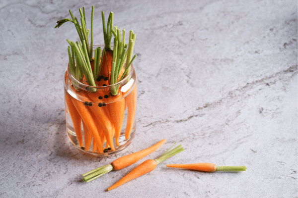 How to preserve carrots