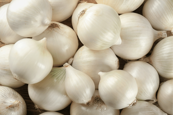 White Onion 