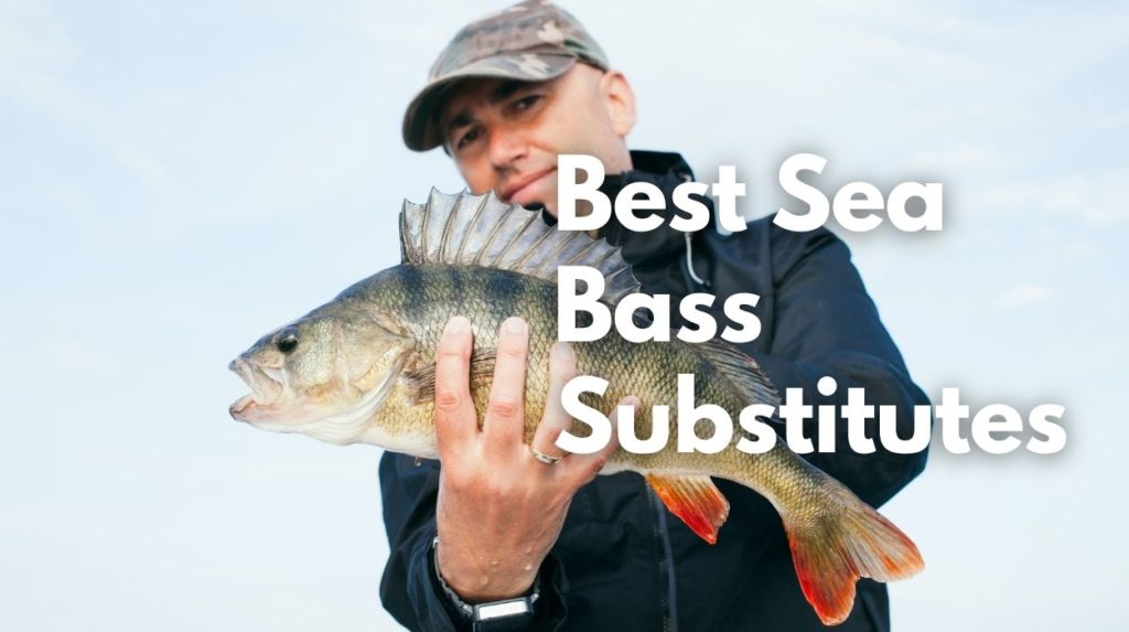Best Sea Bass Substitutes