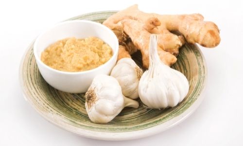 Homemade Garlic Paste