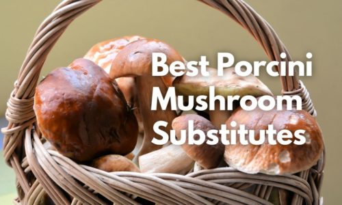 Best Porcini Mushroom Substitutes