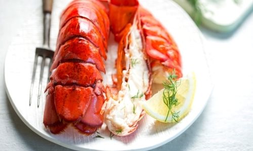 Freezing Cooked Lobster
